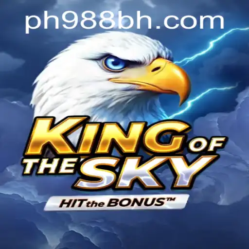 KingOfTheSky: A New Realm of Aerial Adventure